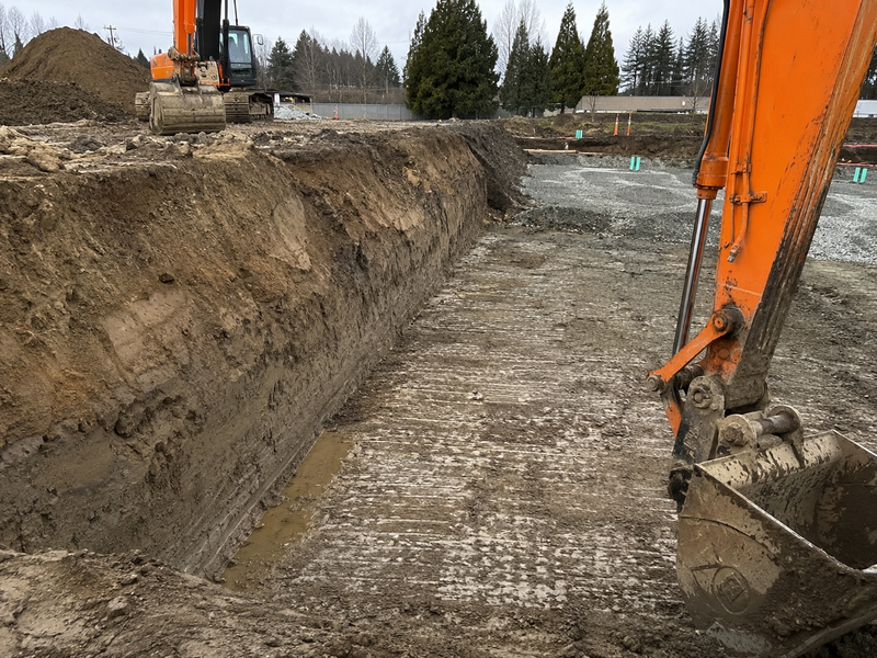 Commercial Land Clearing & Site Prep in Federal Way — prose support